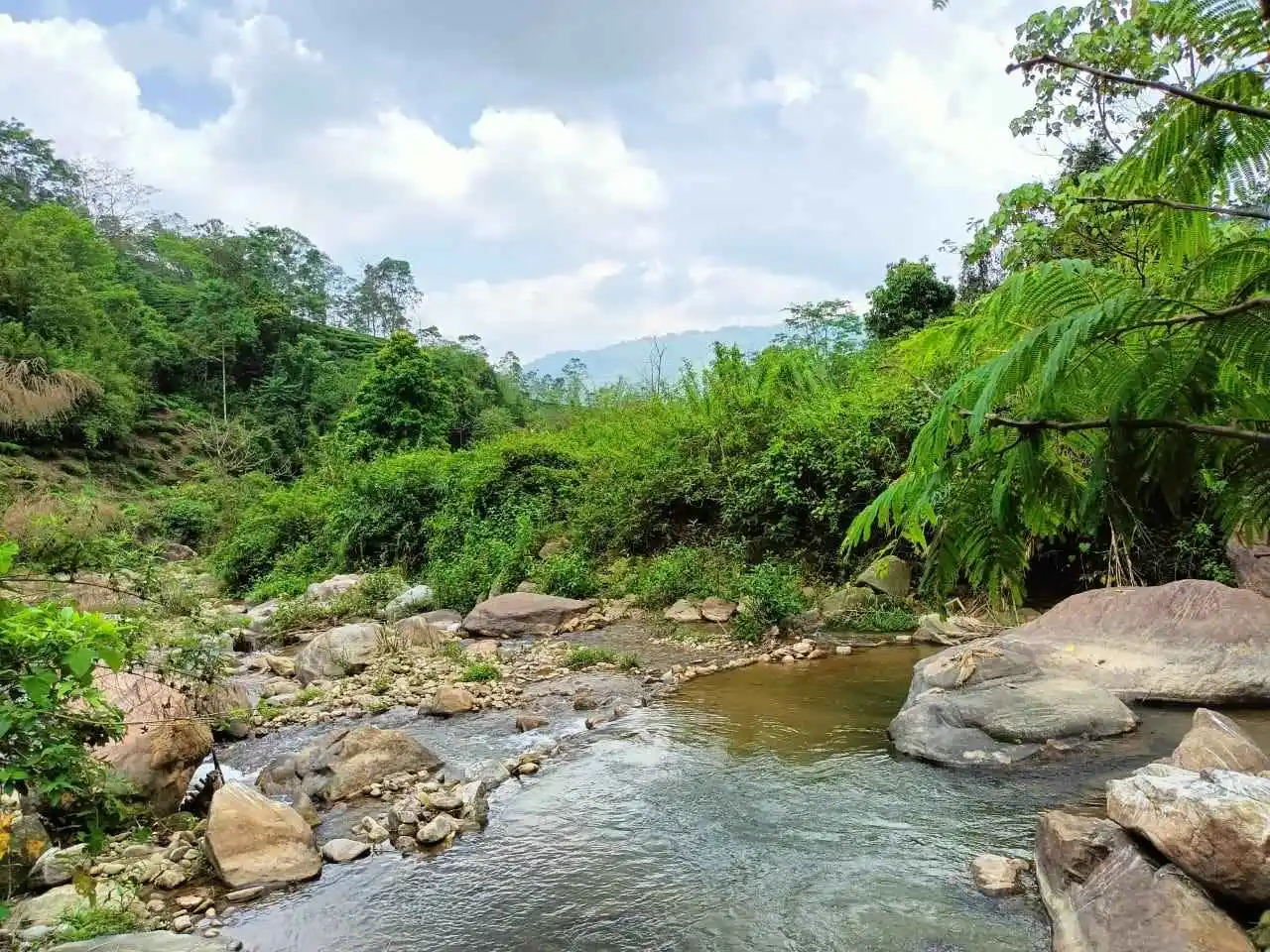 Ranbhang river flowing gently